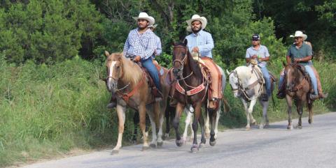 The Cabalgata en Honor al Dia Nacional Del Vaquero Trail made its way from Rancho Viejo to the City Park enjoying fields of green as they rode horses through the countryside. Wyndi Veigel-Gaudette | Citizen staff photo