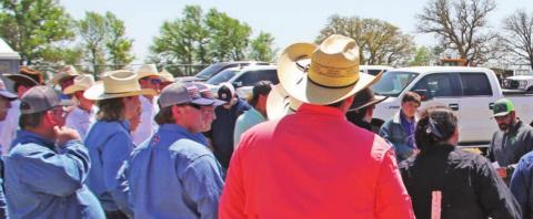 Lones Star grows in second year