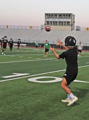 Lions, Lady Lions start season