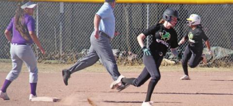Dublin Lady Lions